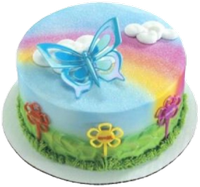 a rainbow birthday cake